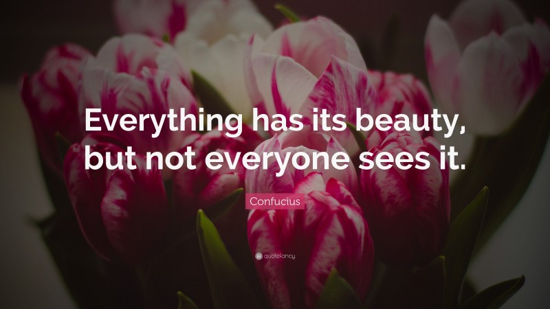 Confucius Quote: “Everything has its beauty, but not everyone sees it.”