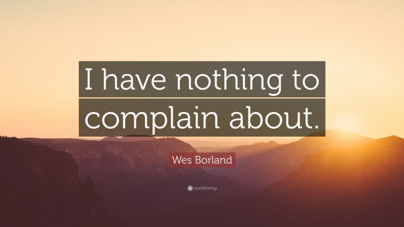 Wes Borland Quote: “I have nothing to complain about.”