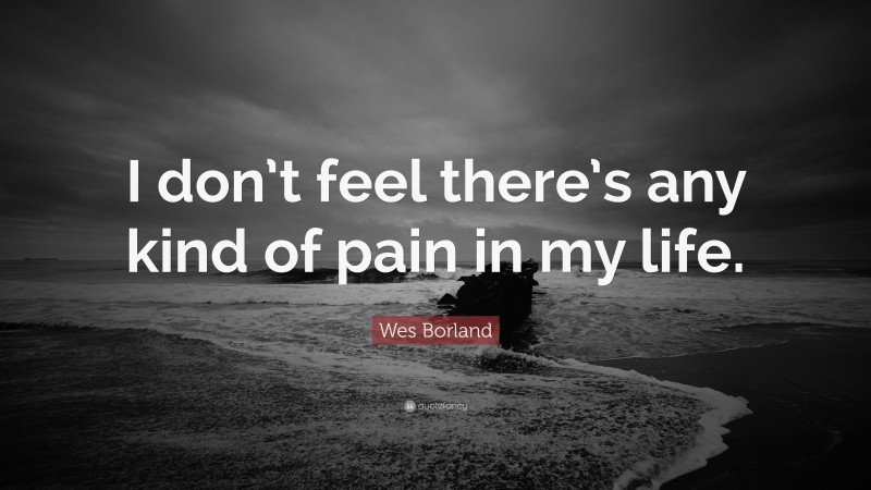 Wes Borland Quote: “I don’t feel there’s any kind of pain in my life.”