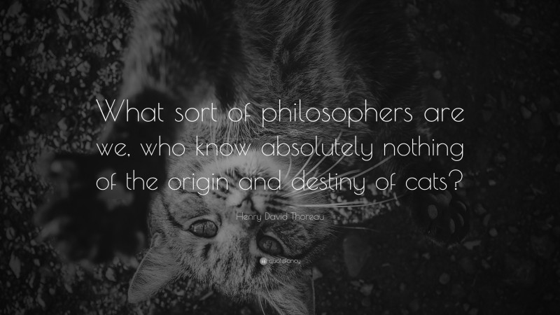 Henry David Thoreau Quote: “What sort of philosophers are we, who know absolutely nothing of the origin and destiny of cats?”