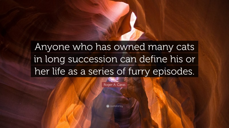 Roger A. Caras Quote: “Anyone who has owned many cats in long succession can define his or her life as a series of furry episodes.”