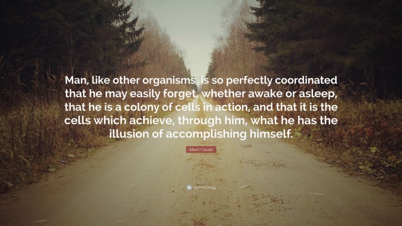 Albert Claude Quote: “Man, like other organisms, is so perfectly coordinated that he may easily forget, whether awake or asleep, that he is a colony of cells in action, and that it is the cells which achieve, through him, what he has the illusion of accomplishing himself.”