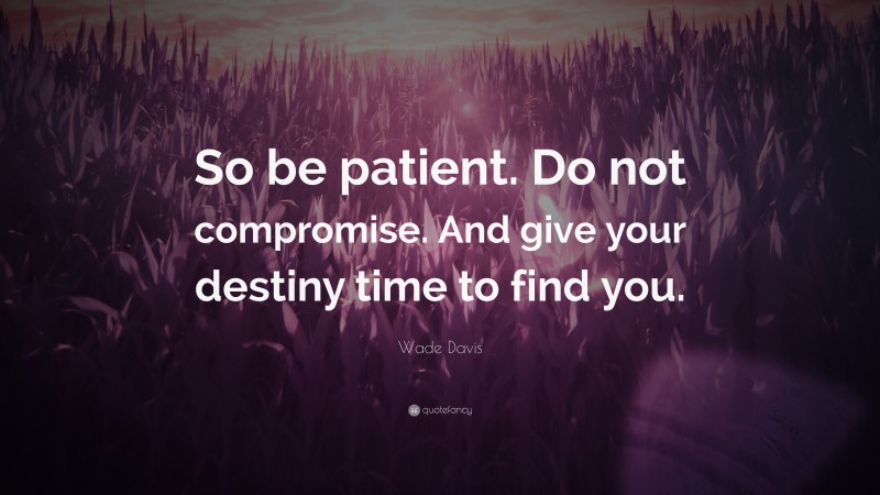 Wade Davis Quote: “So be patient. Do not compromise. And give your destiny time to find you.”