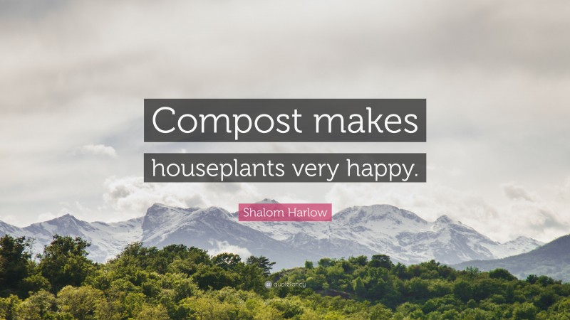 Shalom Harlow Quote: “Compost makes houseplants very happy.”