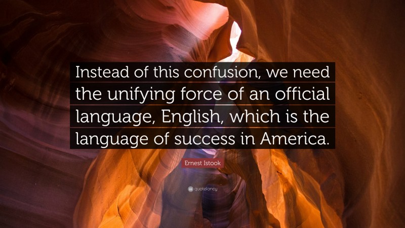 Ernest Istook Quote: “Instead of this confusion, we need the unifying force of an official language, English, which is the language of success in America.”