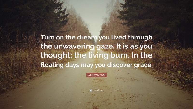 Galway Kinnell Quote: “Turn on the dream you lived through the unwavering gaze. It is as you thought: the living burn. In the floating days may you discover grace.”