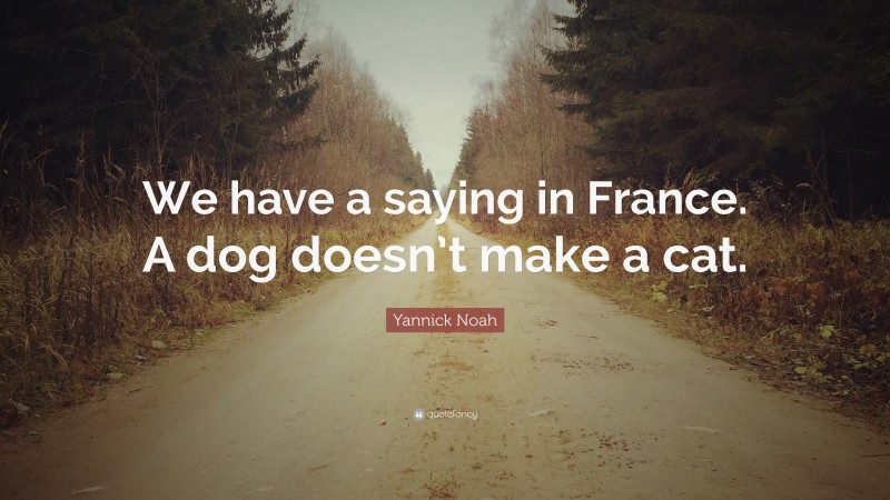 Yannick Noah Quote: “We have a saying in France. A dog doesn’t make a cat.”