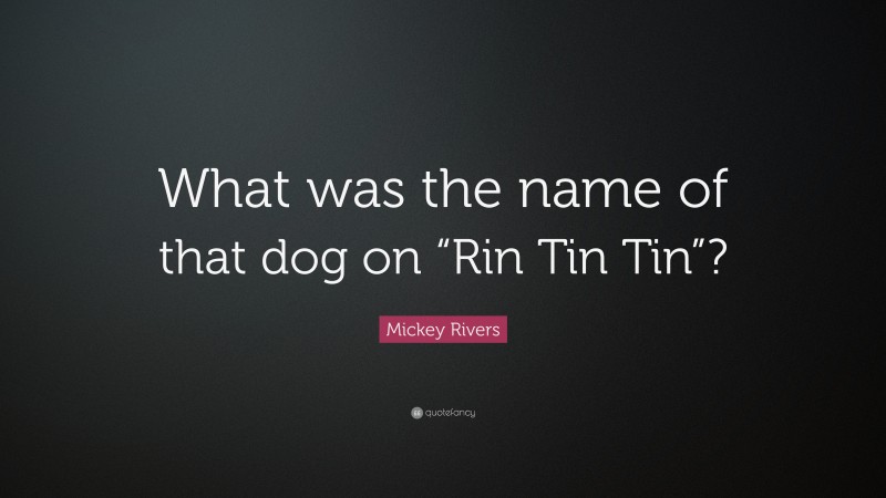Mickey Rivers Quote: “What was the name of that dog on “Rin Tin Tin”?”