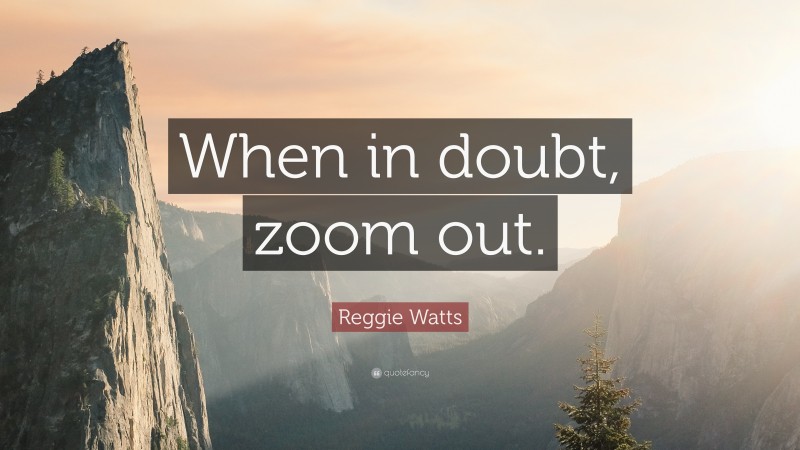 Reggie Watts Quote: “When in doubt, zoom out.”
