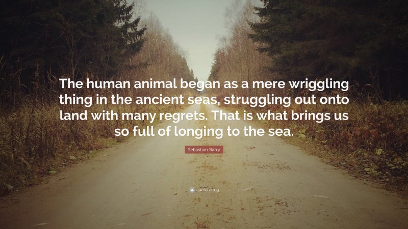 Sebastian Barry Quote: “The human animal began as a mere wriggling thing in the ancient seas, struggling out onto land with many regrets. That is what brings us so full of longing to the sea.”