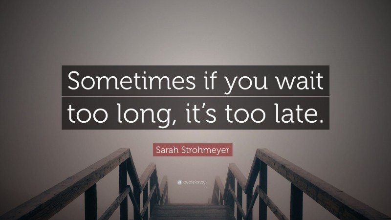 Sarah Strohmeyer Quote: “Sometimes if you wait too long, it’s too late.”