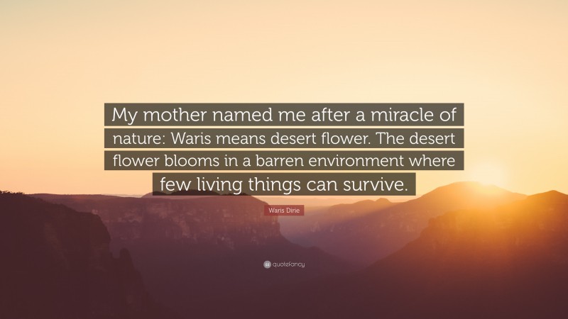 Waris Dirie Quote: “My mother named me after a miracle of nature: Waris means desert flower. The desert flower blooms in a barren environment where few living things can survive.”