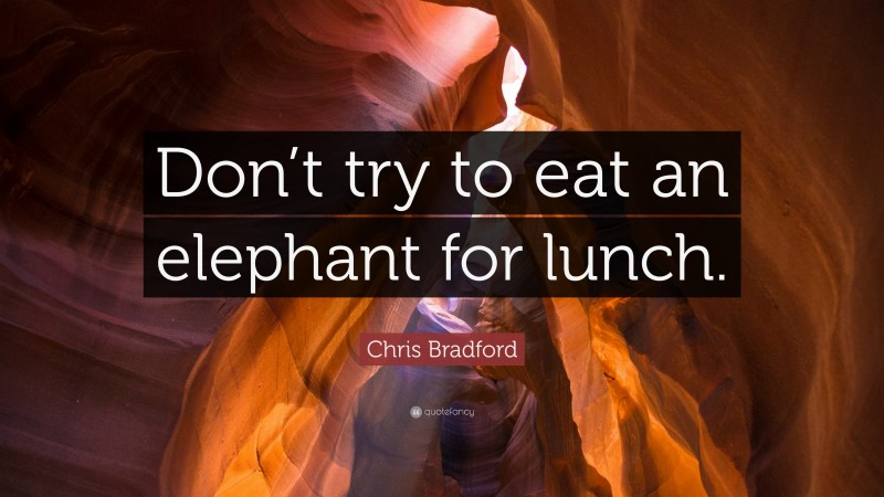 Chris Bradford Quote: “Don’t try to eat an elephant for lunch.”