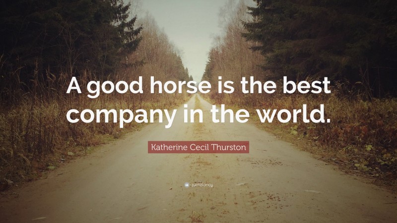 Katherine Cecil Thurston Quote: “A good horse is the best company in the world.”