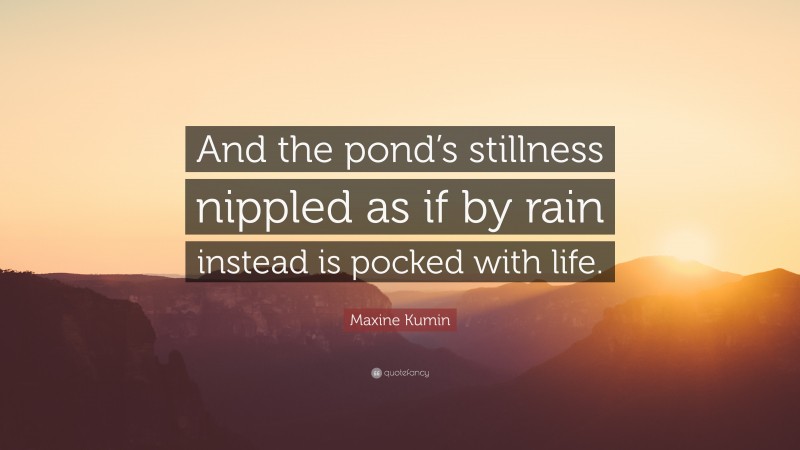 Maxine Kumin Quote: “And the pond’s stillness nippled as if by rain instead is pocked with life.”