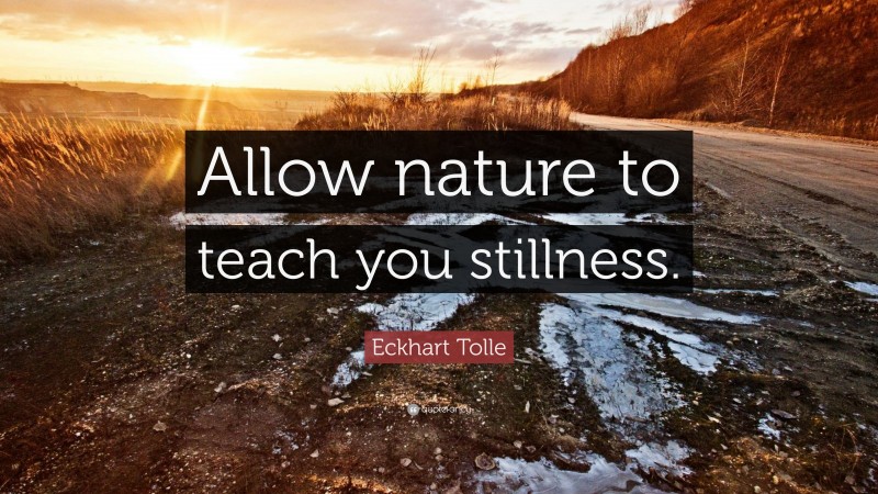 Eckhart Tolle Quote: “Allow nature to teach you stillness.”