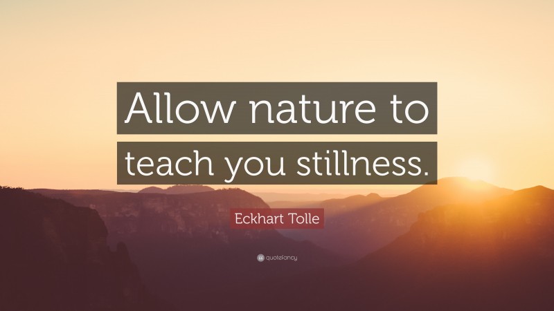 Eckhart Tolle Quote: “Allow nature to teach you stillness.”