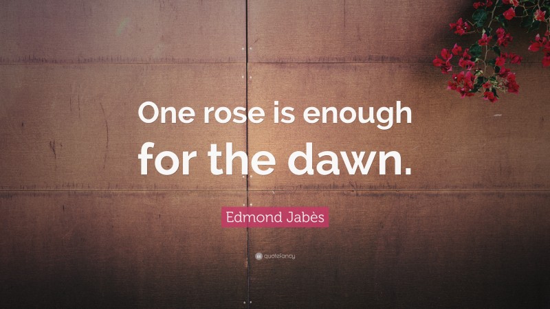 Edmond Jabès Quote: “One rose is enough for the dawn.”