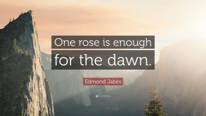 Edmond Jabès Quote: “One rose is enough for the dawn.”