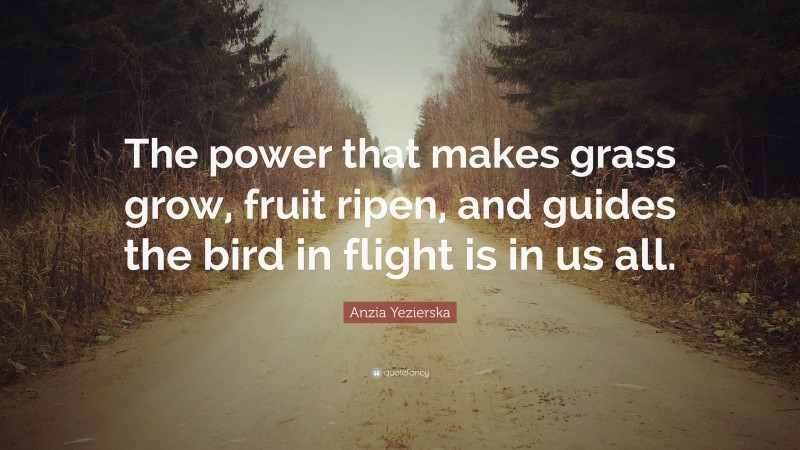 Anzia Yezierska Quote: “The power that makes grass grow, fruit ripen, and guides the bird in flight is in us all.”