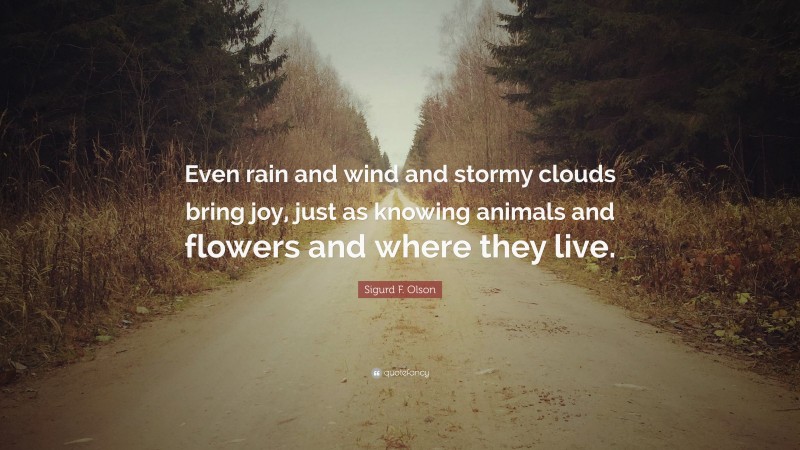 Sigurd F. Olson Quote: “Even rain and wind and stormy clouds bring joy, just as knowing animals and flowers and where they live.”