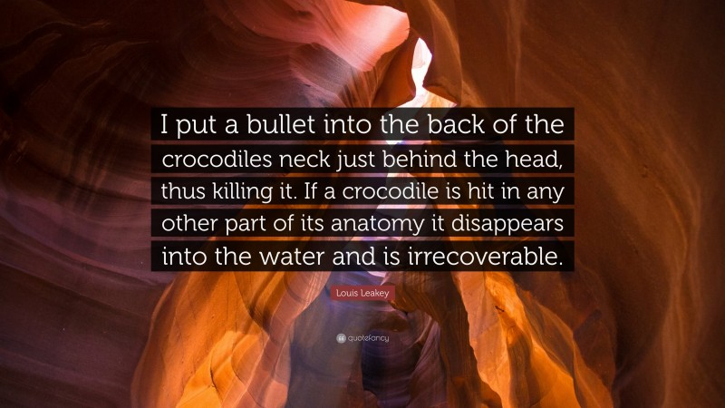 Louis Leakey Quote: “I put a bullet into the back of the crocodiles neck just behind the head, thus killing it. If a crocodile is hit in any other part of its anatomy it disappears into the water and is irrecoverable.”