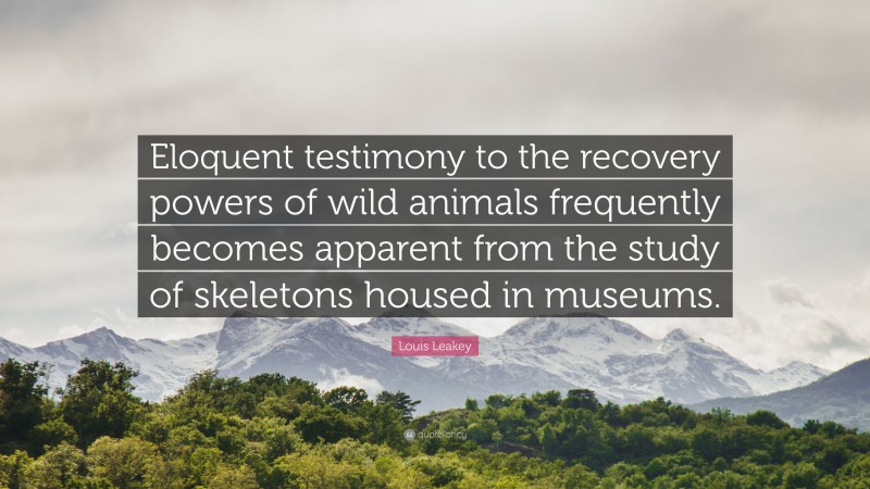 Louis Leakey Quote: “Eloquent testimony to the recovery powers of wild animals frequently becomes apparent from the study of skeletons housed in museums.”