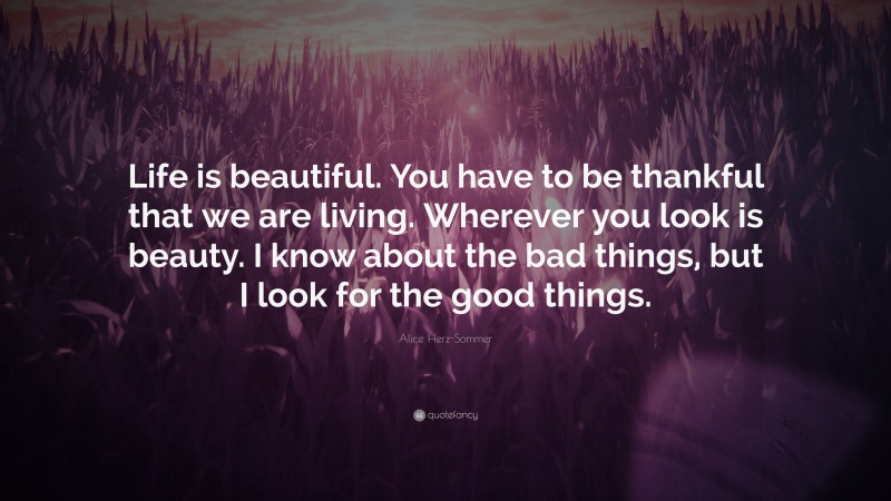 Alice Herz-Sommer Quote: “Life is beautiful. You have to be thankful that we are living. Wherever you look is beauty. I know about the bad things, but I look for the good things.”