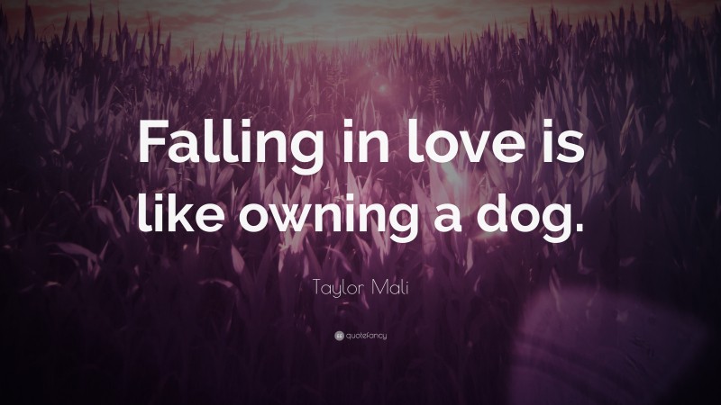 Taylor Mali Quote: “Falling in love is like owning a dog.”