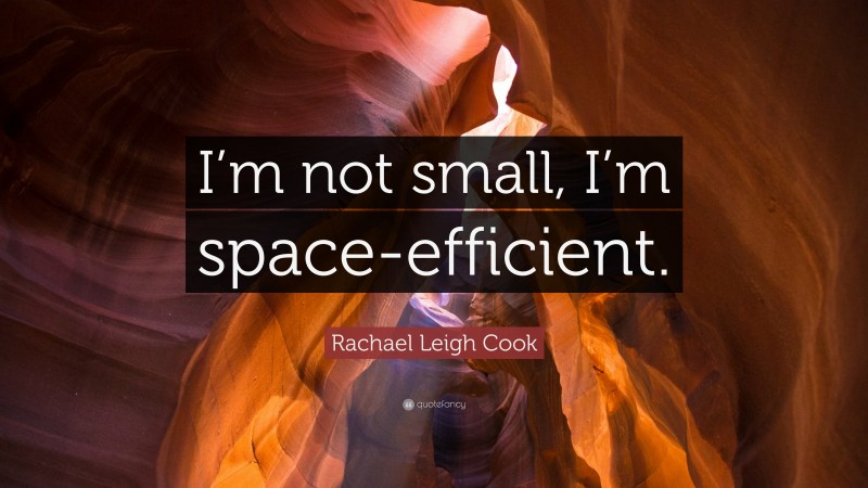 Rachael Leigh Cook Quote: “I’m not small, I’m space-efficient.”