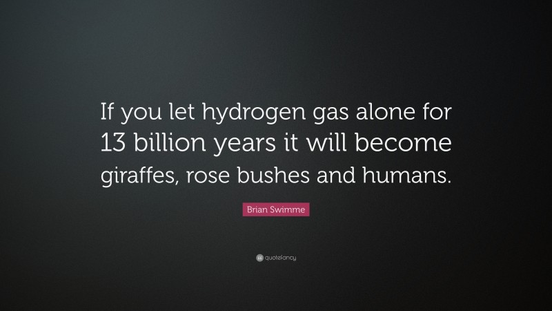 Brian Swimme Quote: “If you let hydrogen gas alone for 13 billion years it will become giraffes, rose bushes and humans.”