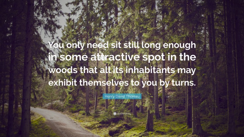 Henry David Thoreau Quote: “You only need sit still long enough in some attractive spot in the woods that all its inhabitants may exhibit themselves to you by turns.”