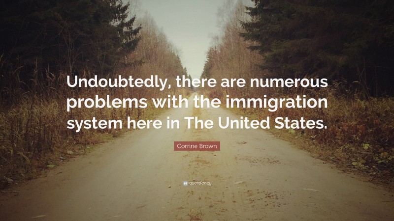 Corrine Brown Quote: “Undoubtedly, there are numerous problems with the immigration system here in The United States.”