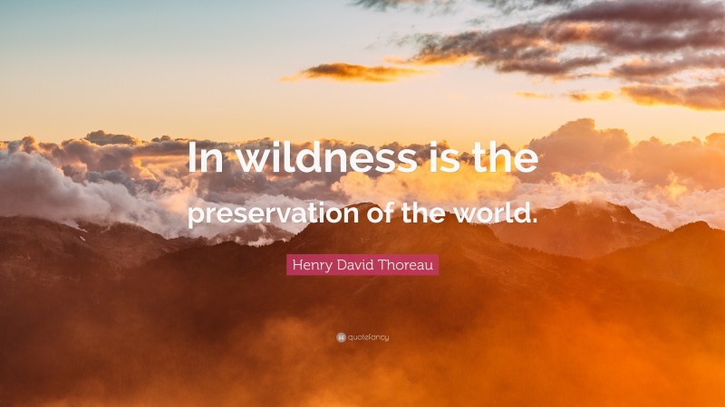Henry David Thoreau Quote: “In wildness is the preservation of the world.”