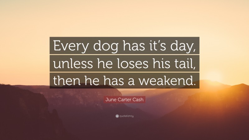 June Carter Cash Quote: “Every dog has it’s day, unless he loses his tail, then he has a weakend.”