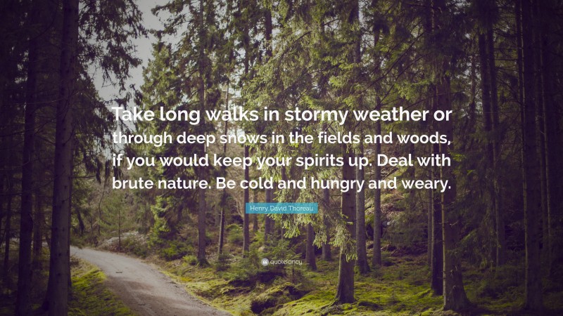 Henry David Thoreau Quote: “Take long walks in stormy weather or through deep snows in the fields and woods, if you would keep your spirits up. Deal with brute nature. Be cold and hungry and weary.”