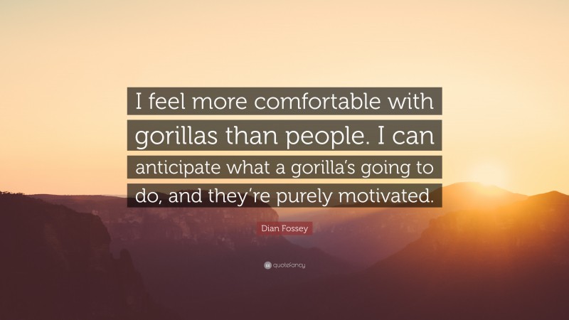 Dian Fossey Quote: “I feel more comfortable with gorillas than people. I can anticipate what a gorilla’s going to do, and they’re purely motivated.”