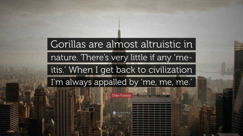 Dian Fossey Quote: “Gorillas are almost altruistic in nature. There’s very little if any ‘me-itis.’ When I get back to civilization I’m always appalled by ‘me, me, me.’”