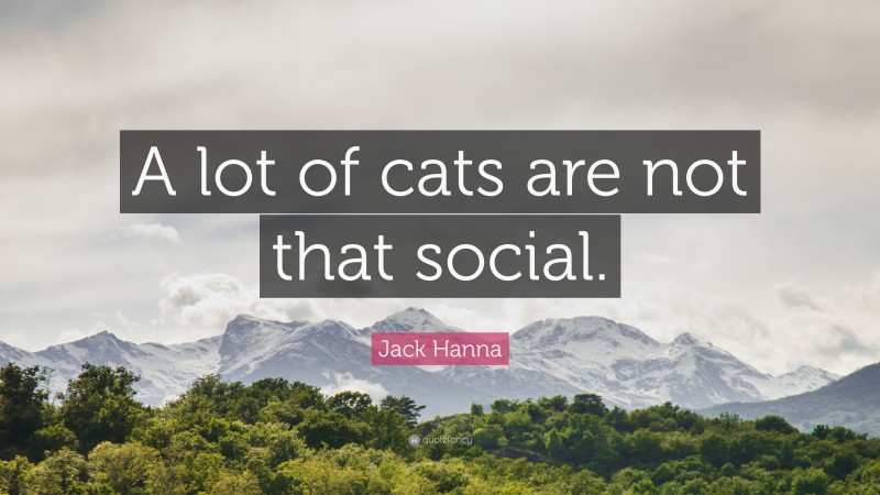 Jack Hanna Quote: “A lot of cats are not that social.”