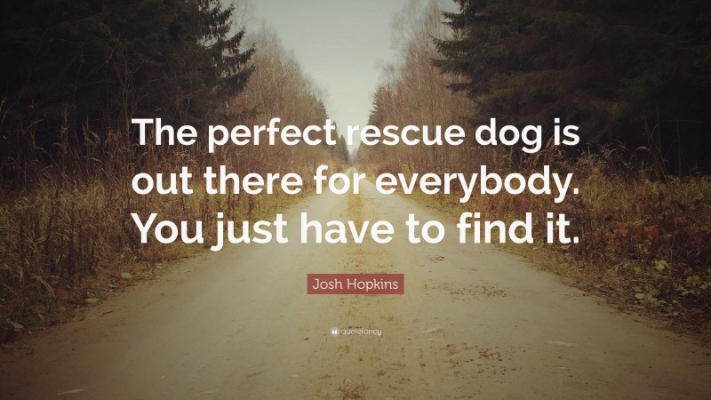 Josh Hopkins Quote: “The perfect rescue dog is out there for everybody. You just have to find it.”