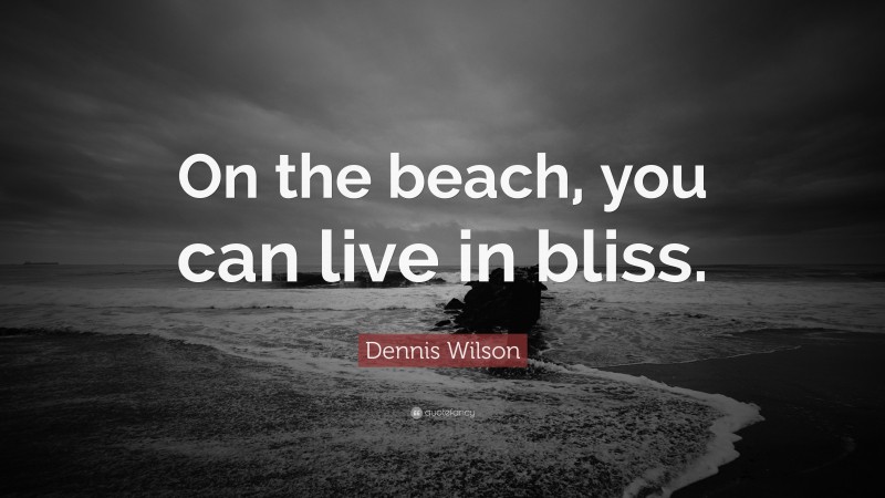 Dennis Wilson Quote: “On the beach, you can live in bliss.”