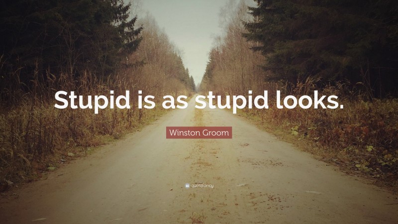 Winston Groom Quote: “Stupid is as stupid looks.”