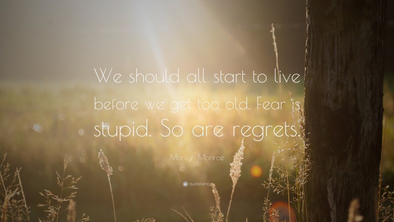 Marilyn Monroe Quote: “We should all start to live before we get too old. Fear is stupid. So are regrets.”