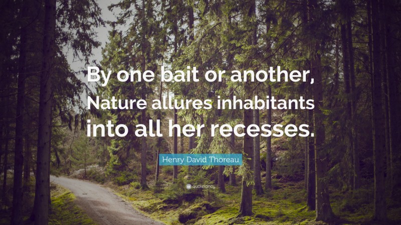 Henry David Thoreau Quote: “By one bait or another, Nature allures inhabitants into all her recesses.”