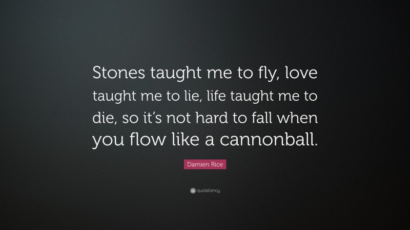 Damien Rice Quote: “Stones taught me to fly, love taught me to lie, life taught me to die, so it’s not hard to fall when you flow like a cannonball.”