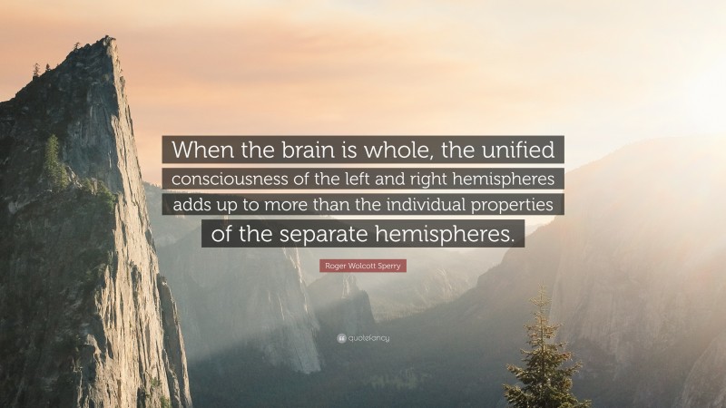 Roger Wolcott Sperry Quote: “When the brain is whole, the unified consciousness of the left and right hemispheres adds up to more than the individual properties of the separate hemispheres.”