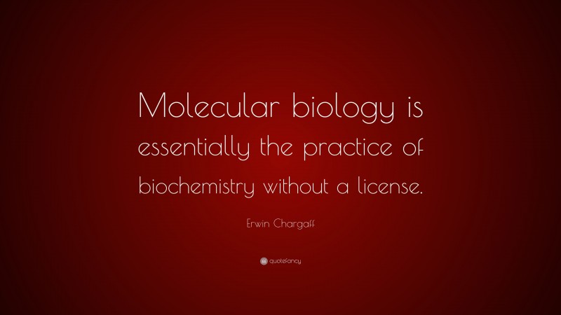 Erwin Chargaff Quote: “Molecular biology is essentially the practice of biochemistry without a license.”