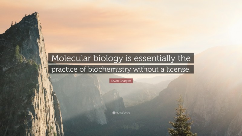 Erwin Chargaff Quote: “Molecular biology is essentially the practice of biochemistry without a license.”