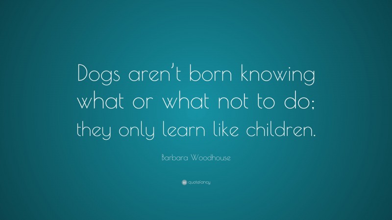 Barbara Woodhouse Quote: “Dogs aren’t born knowing what or what not to do; they only learn like children.”