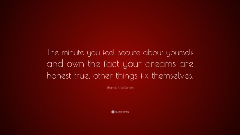 Shantel VanSanten Quote: “The minute you feel secure about yourself and own the fact your dreams are honest true, other things fix themselves.”